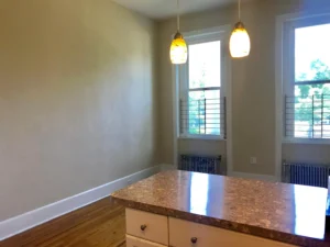 220 Summer St APT 1, Buffalo, NY 14222